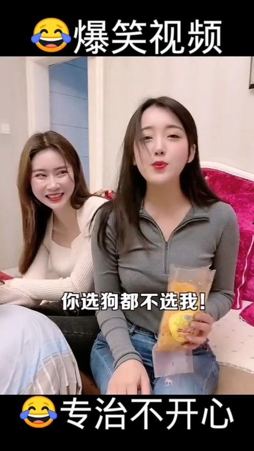 哈哈爆料的视频,笑料百出，精彩瞬间尽收眼底